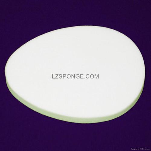 lzsponge (中国 浙江省 生产商)